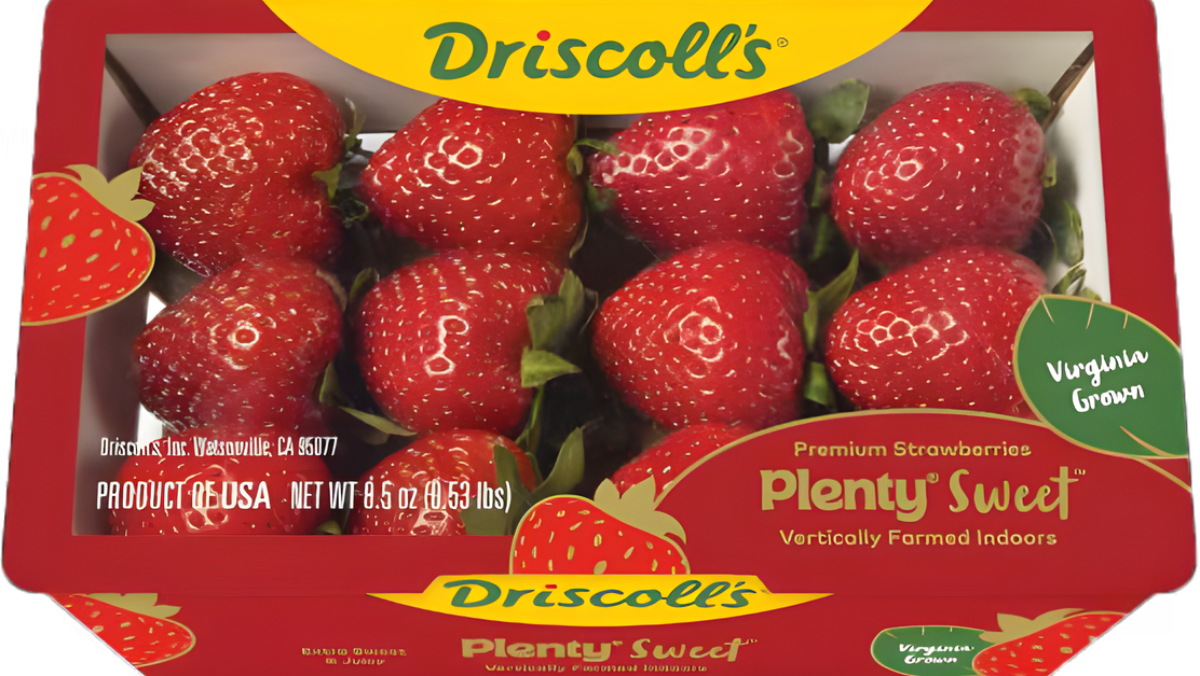 Packaged Driscoll’s Plenty Sweet vertically farmed strawberries