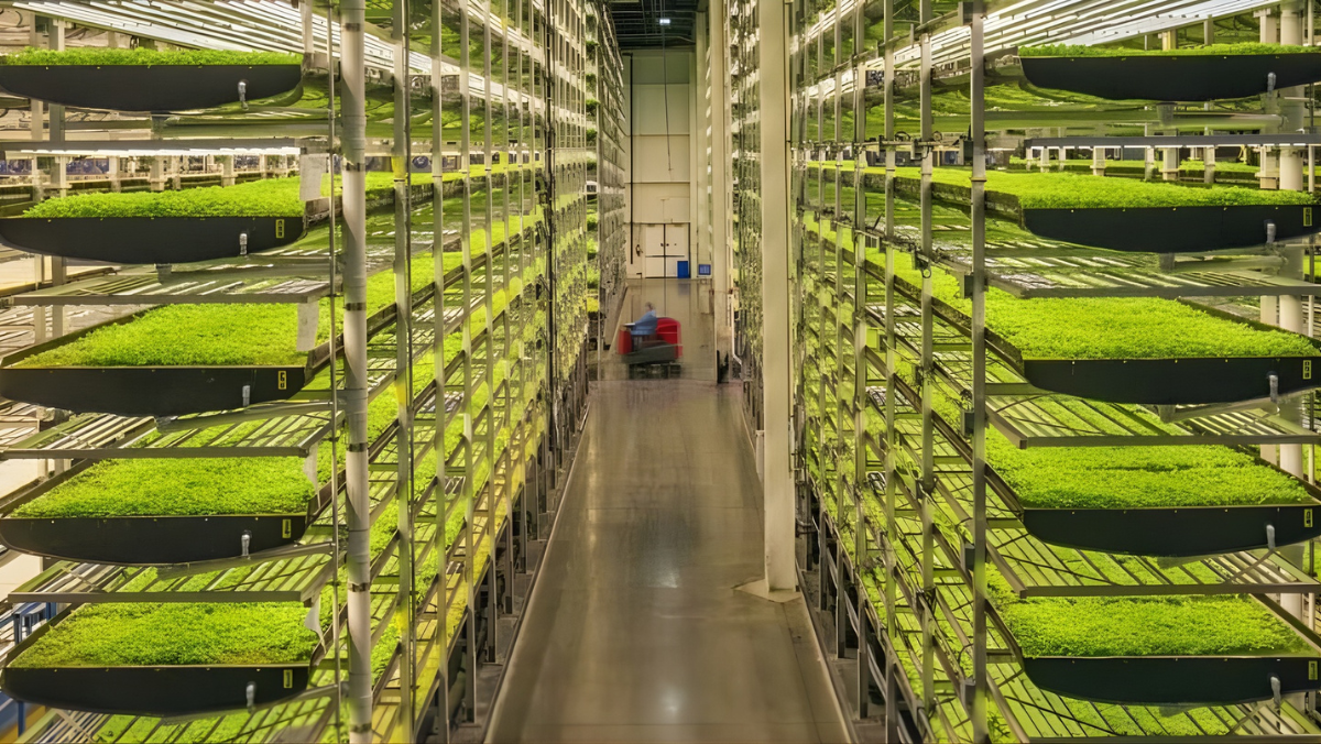 Rows of stacked indoor grow trays filled with bright green crops in a vertical farm