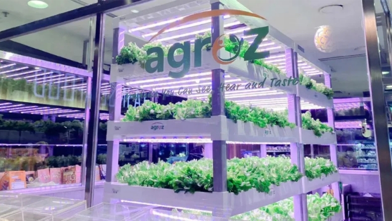 Indoor vertical farming racks growing leafy greens under LED lights