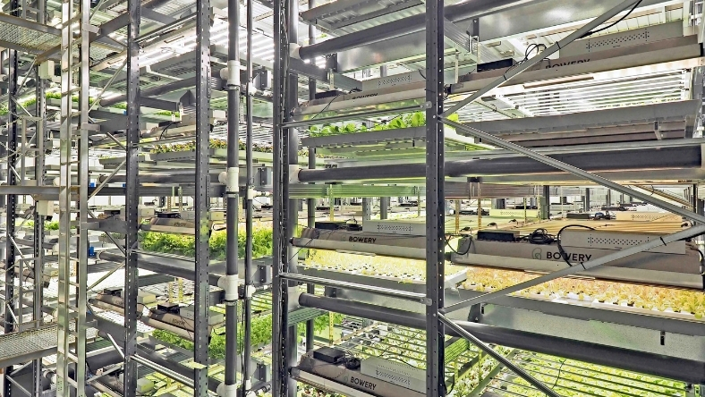 Multi-level indoor vertical farm racks with LED grow lights